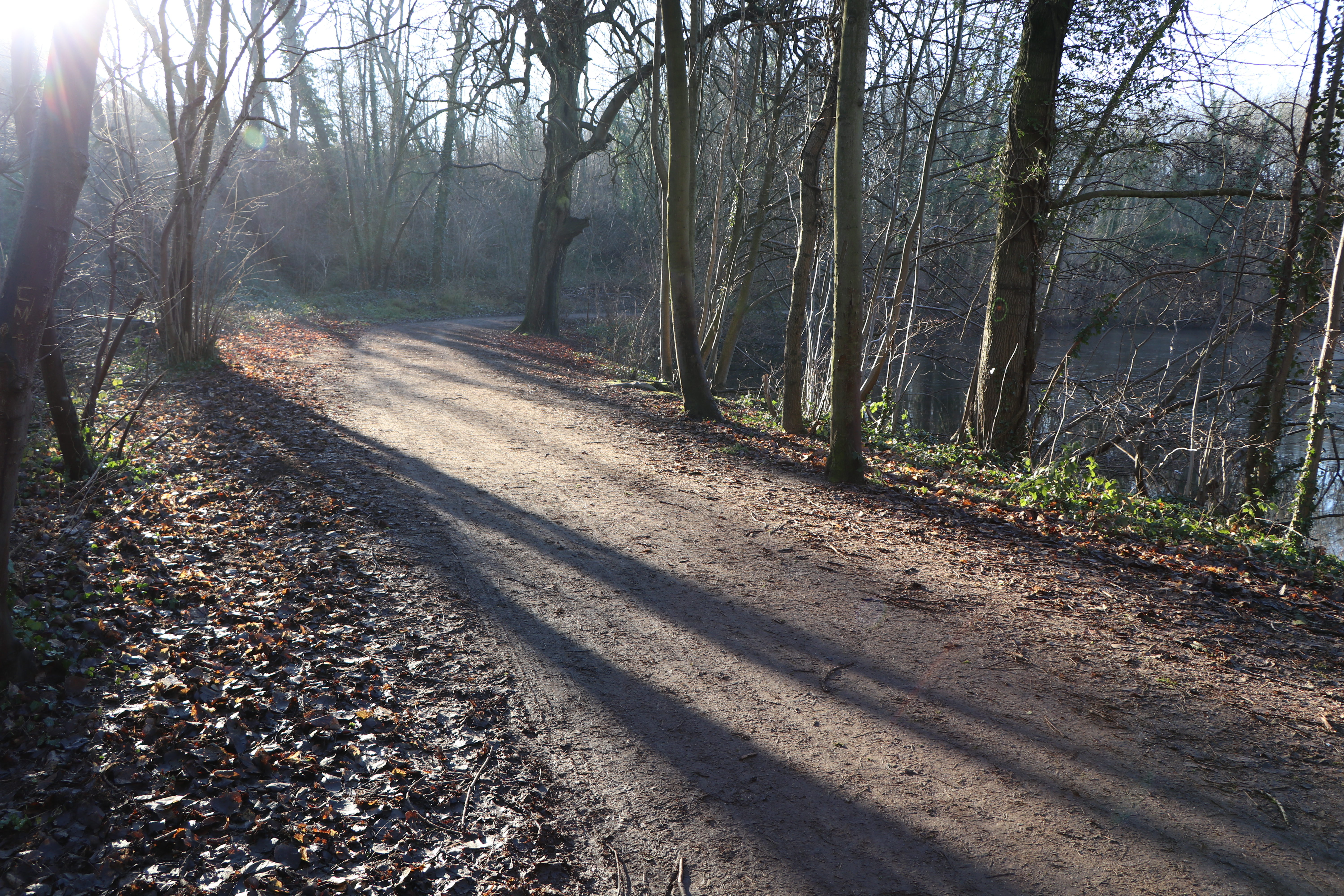 bois des hautois