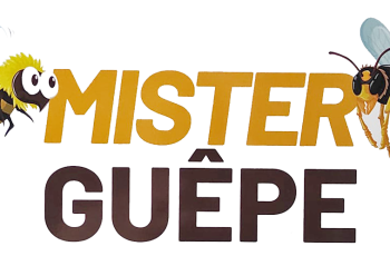 mister guêpe